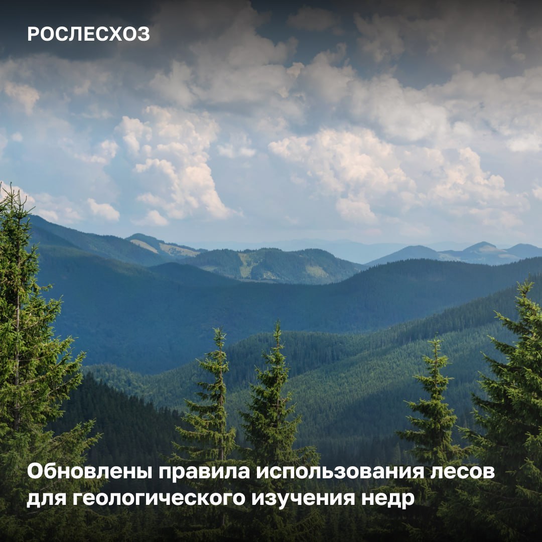 Обновлены правила использования лесов для геологического изучения недр
