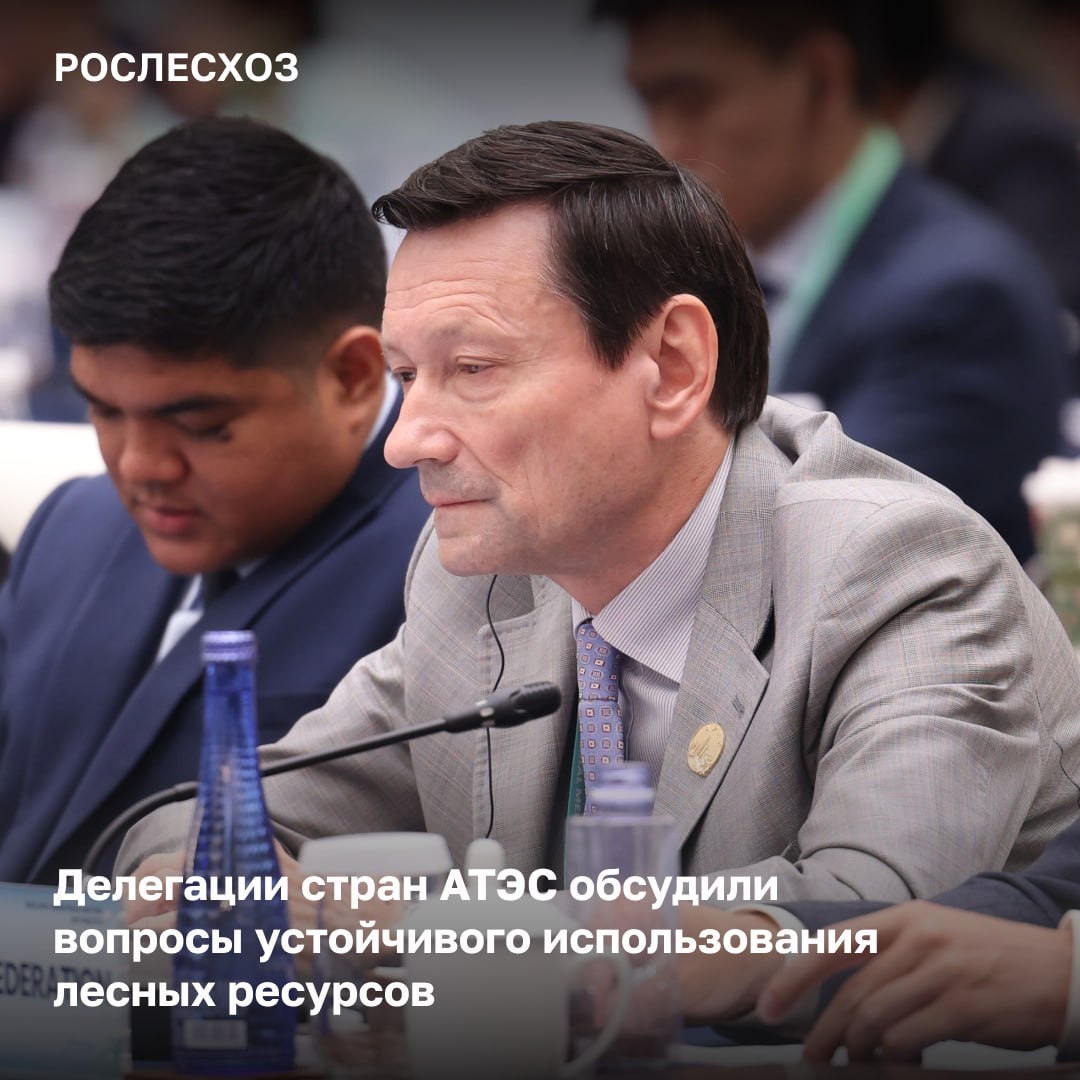 Представители государств, входящих в АТЭС, рассмотрели аспекты экологически рационального управления лесными богатствами.