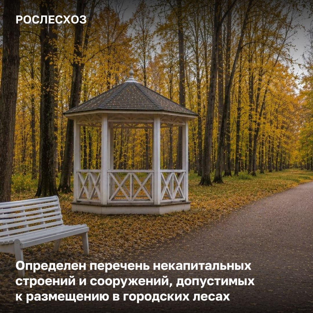 Определен перечень некапитальных строений и сооружений, допустимых к размещению в городских лесах