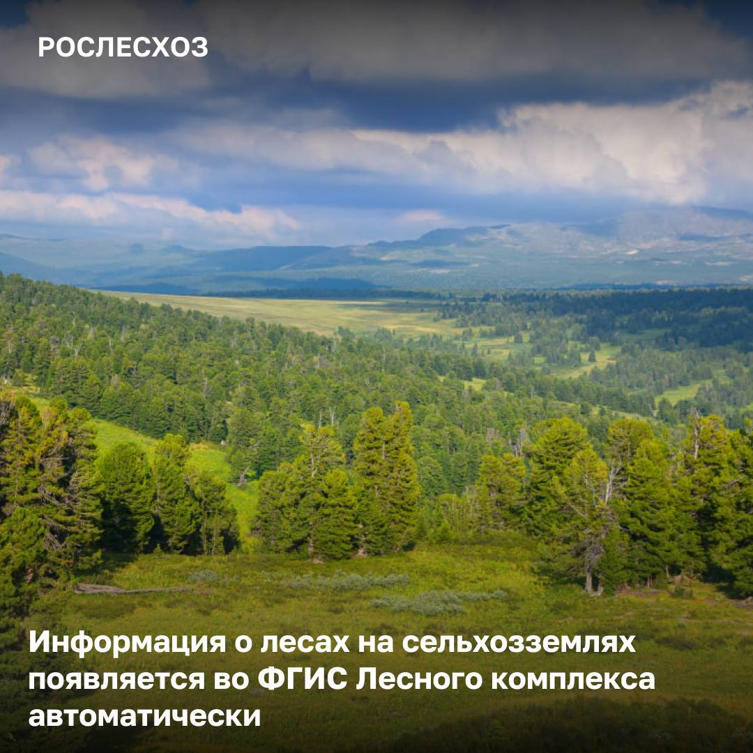 Данные о лесных насаждениях, расположенных на сельскохозяйственных угодьях, заносятся в ФГИС Лесного комплекса в автоматическом режиме