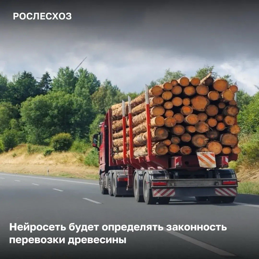 Искусственный интеллект станет инструментом для проверки правомерности транспортировки лесоматериалов